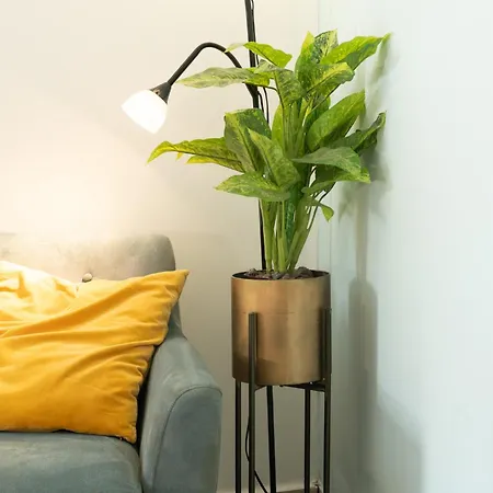 Jabitat- Jaffa Boutique TLV-2